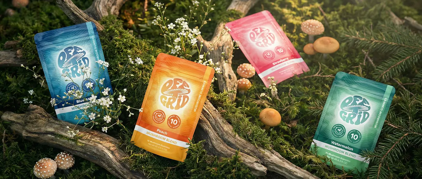Off Grid Mushroom Gummies pouches in four flavors on a log