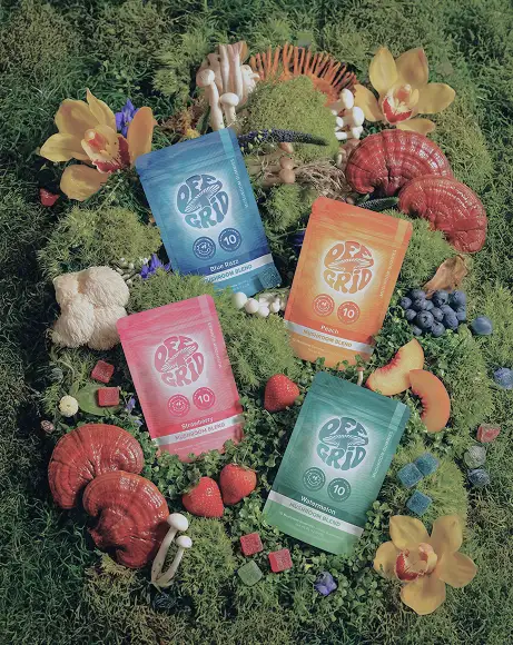 Off Grid Mushroom Gummies pouches on mossy wood