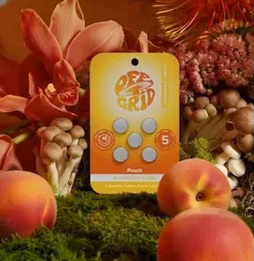 Off Grid Mushroom Tablets Peach, 5 ct pack, front